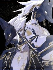 狼导航跳转视频